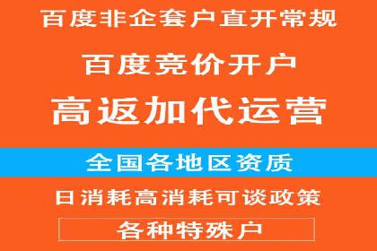 信息流广告投放公司案例策略解析
